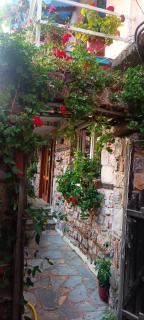 Rosa B&B - 3