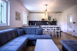 Olive tree - 8