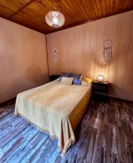 Araucaria, Casa Patagonica - 9
