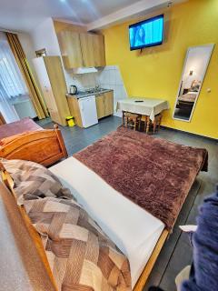 Vila Aleksandra 1 Sokobanja - 1