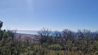 Casa Jenny sul mare - 5