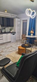 Solis - Sunny Modern Near Craiova Airport - 5