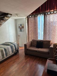 Hermoso Loft en Santiago - 4