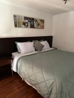 Hermoso Loft en Santiago - 2