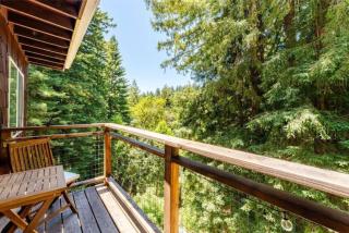 Evergreen Escape - 2