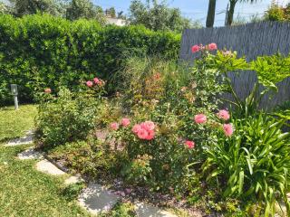 Il Giardino di Marianna Beach House Appartamento 2 - 1