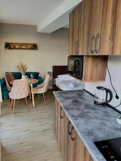 Modern Apartment near Didveli Ski Lift - 5