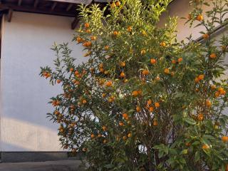 倉敷 カップル 3名OK 和モダン一棟貸し 美観地区すぐ Kurashiki Private House for 2-3 Guests near Bikan Area 駐車場有り - 3
