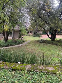 Shamwari Guesthouse - 6
