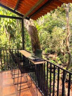 Blue Palm Bed & Breakfast - 3