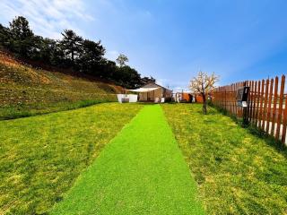 Dangjin Dogpelis Glamping - 3