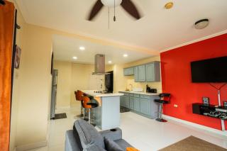 Central 2 bed Apt near Devon House - 1