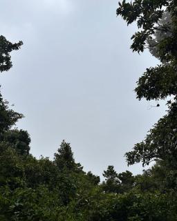 El Nido de Aguila - 3
