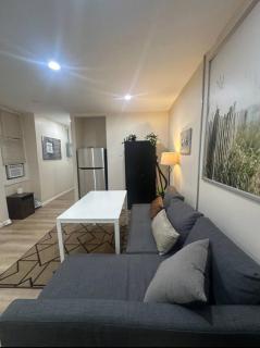 -No3A- Private Room in a Cozy Apartment - Steps to T Orange Line & Boston Medical Center - South End Near Downtown Boston - 1