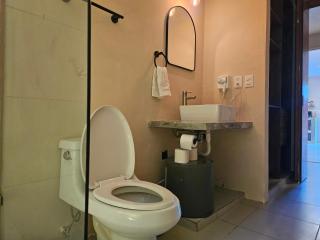 Modern Apt near US Consulate y Siglo XXI - 5