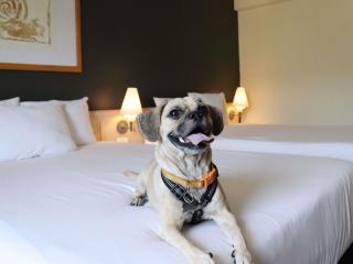 Novotel Monterrey Valle - 4