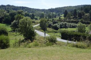 La parrot en margeride - 6