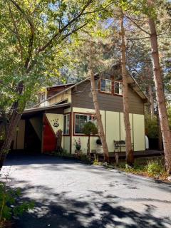 The Bearadise Fun Cozy Centrally Located Cabin - 0