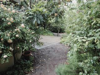 Monrepos - 2