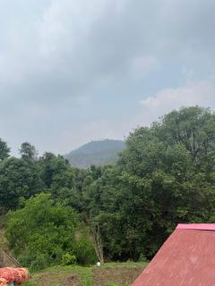 Pahadi stay - 5