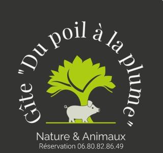 Le paon de bois avec bain nordique - 9