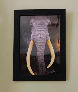 Cherys Bunglow Homestay- Rooms - 3