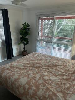 Tropical Treetop Escape - Gold coast - 6