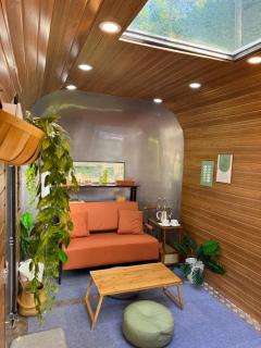 Vintage Trailer in a Jungle - 0