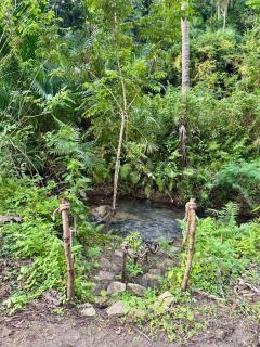 Vintage Trailer in a Jungle - 7