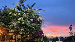 Oasis2 Phuket Airport Glamping - 7