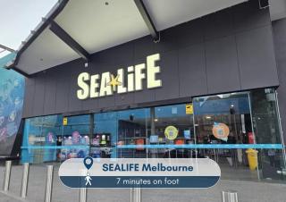 65D Great City Stay Abnb-Style 2BR Free Tram Gym & Pool - 8