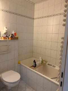 Idyllische Wohnung mit Terrasse und Seezugang - 8