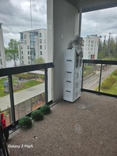 Kolmio, sauna Härmälän ranta, Tampere - 5