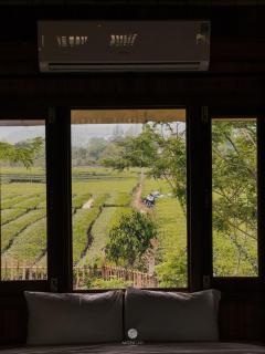 Mường Lò Retreat Nghia Lo - 1
