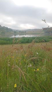 Petronella Guest House - 4