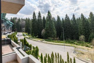 Woodland Apartment in Silver Mountain Resort - 5
