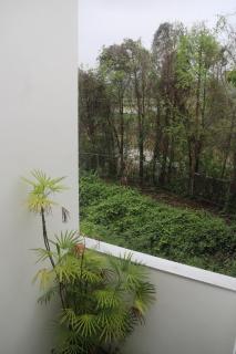 雨過里里虹 Alishan Rainbow Retreat - 1