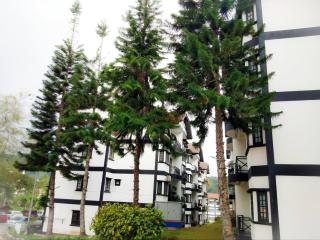 Family Holiday Apartment Cameron Highlands - 6