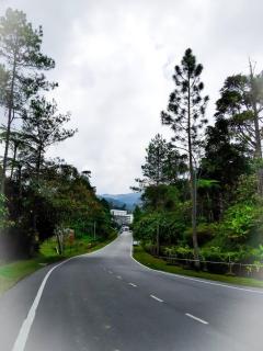 Family Holiday Apartment Cameron Highlands - 3