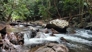 Chestnut Hill Eco Resort Had Yai - Hat Yai - 3