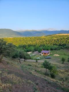 Villa Home - 4