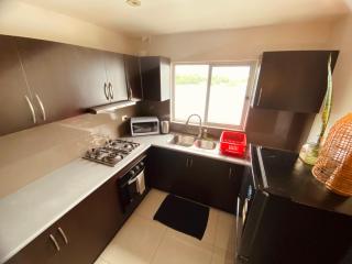 Bula Bliss - Nadi Airport Apartments - 7