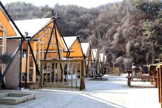 Yangpyeong Why Glamping - 1