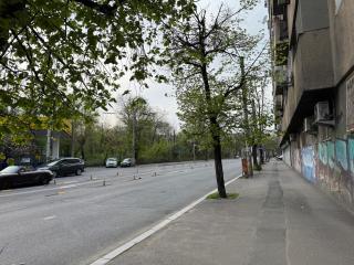 Bucur Apartment - 8