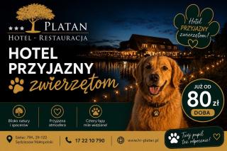 Hotel - Restauracja Platan - 9