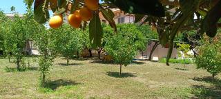 Garden house - 9