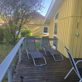 Seeschwalbe 99 - 1
