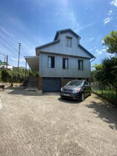 Zurkas’ guesthouse - Batumi - 8