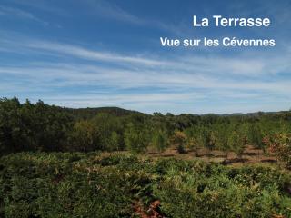 L'Espaso - 7