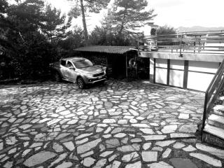 B&B Le Camelie del Bosco - 3